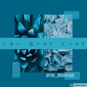 💚💙💚💙💚💙